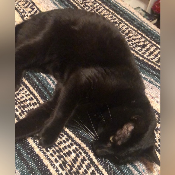 Meet your Posher, Erin - Picture 2 of 6